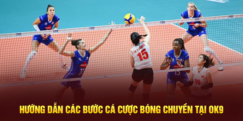 Hướng dẫn các bước cá cược bóng chuyền tại OK9