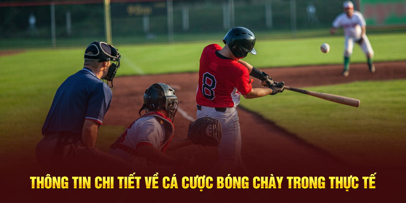 Thông tin chi tiết về cá cược bóng chày trong thực tế