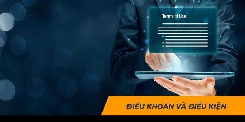 Điều khoản về khuyến mãi