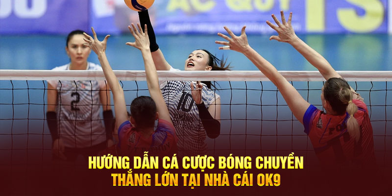 cá cược bóng chuyền